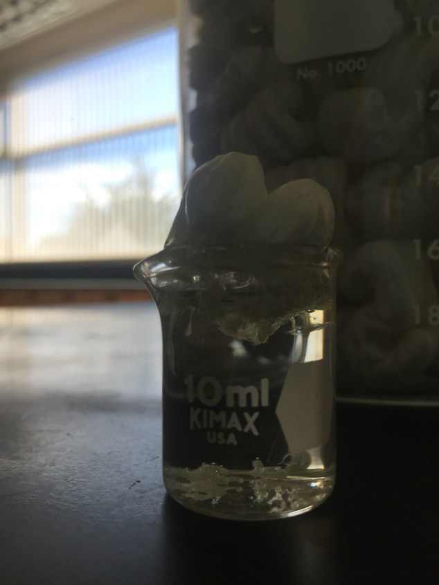 The peanut continuing the dissolve. 