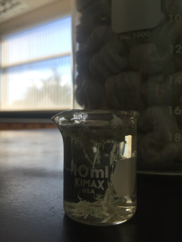 The packing peanut as it is almost entirely "dissolved". 